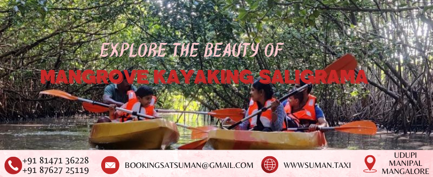 Mangrove Kayaking | Saligrama | Udupi