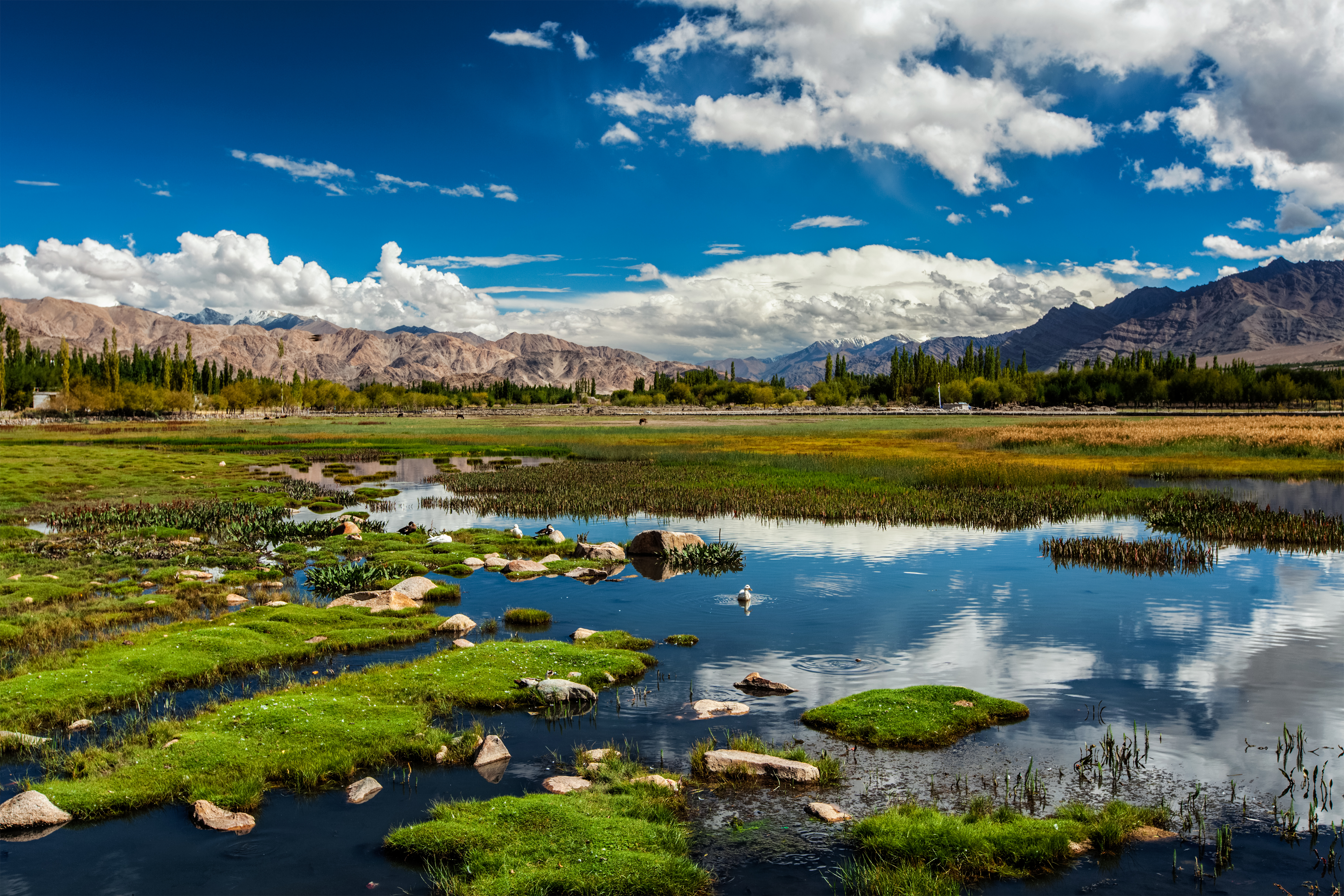 kasmir valley