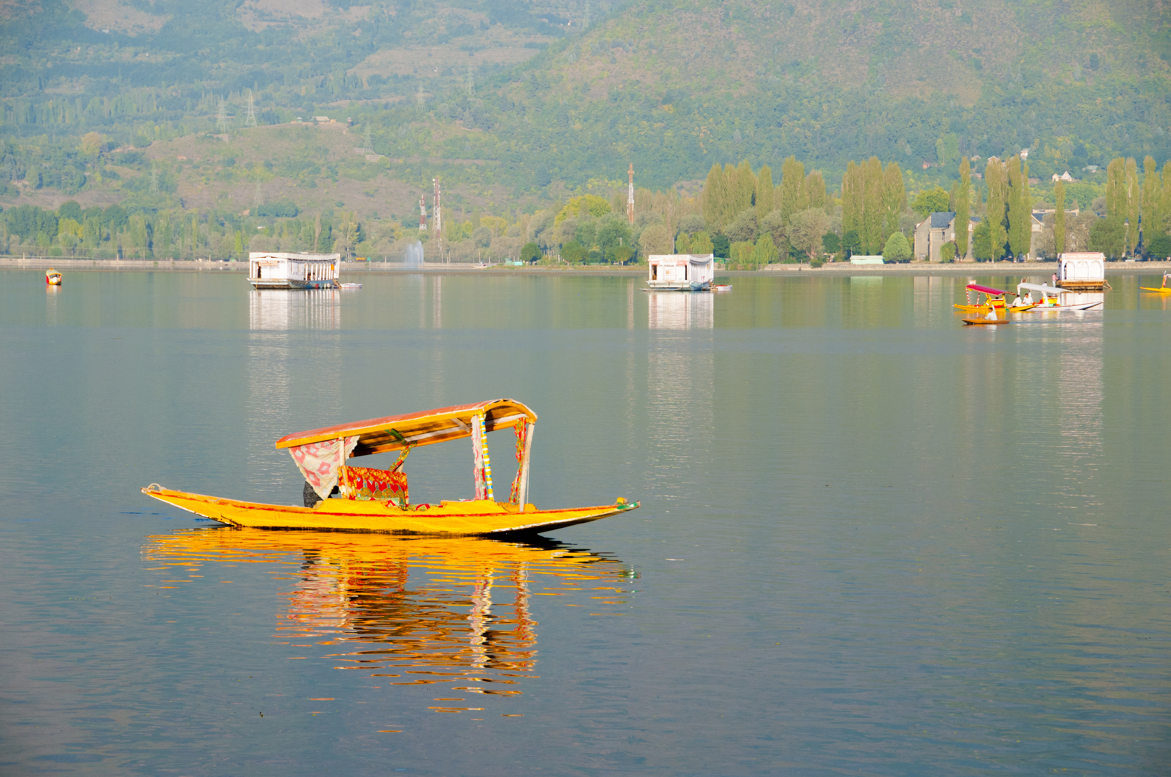 kasmir valley